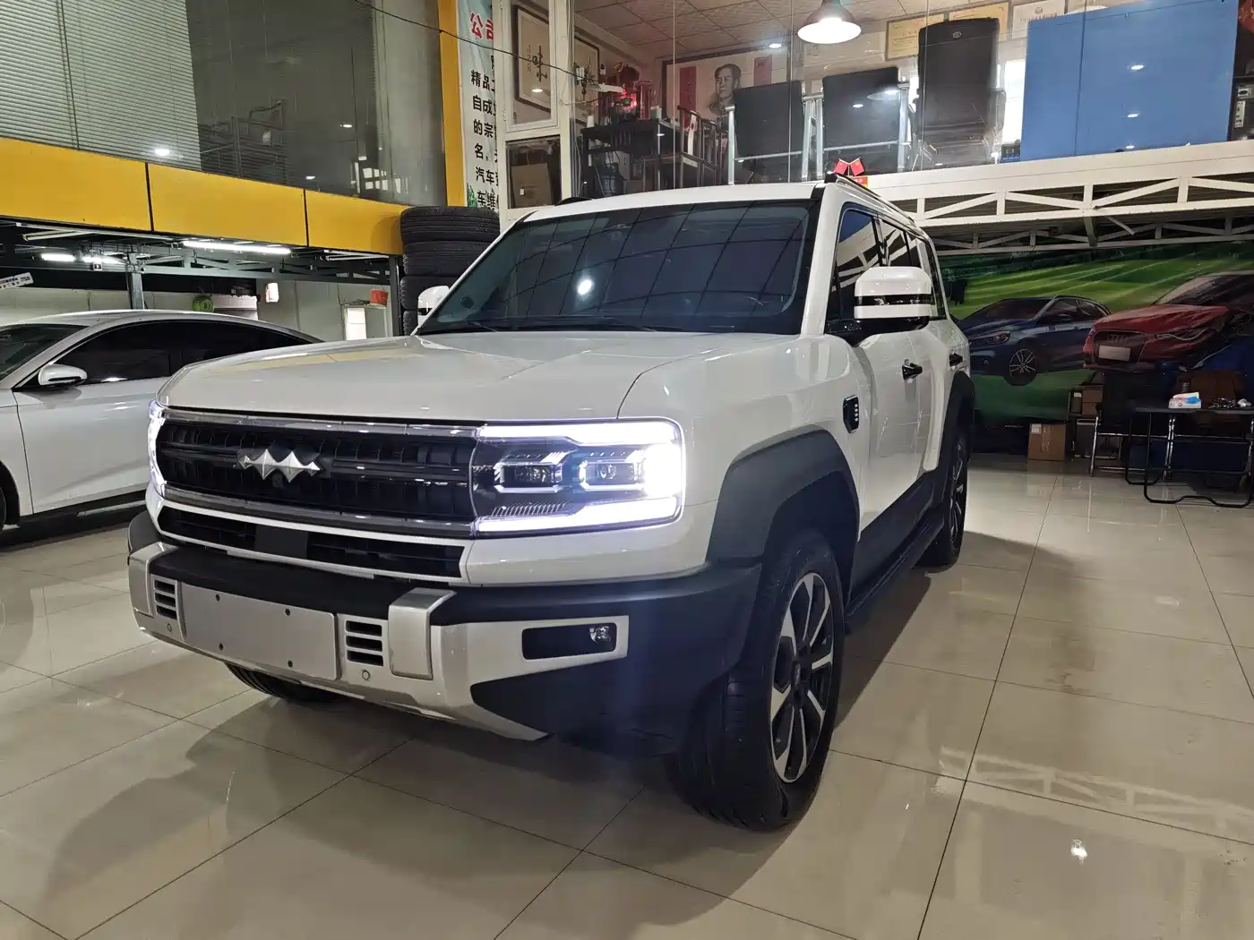 FANG CHENG BAO LEOPARD 5