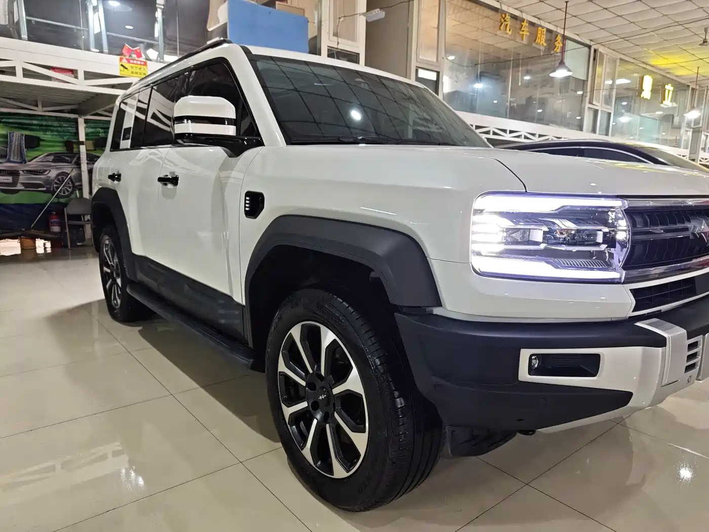 FANG CHENG BAO LEOPARD 5