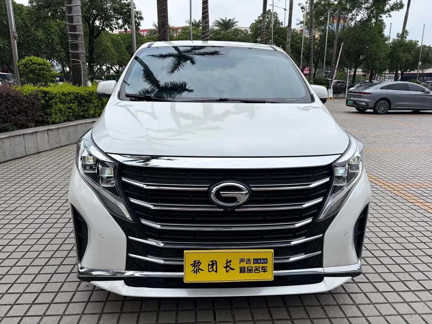 GAC Trumpchi Trumpchi M8 2021 Leading Show Series 390T Ultimate Edition фото 2