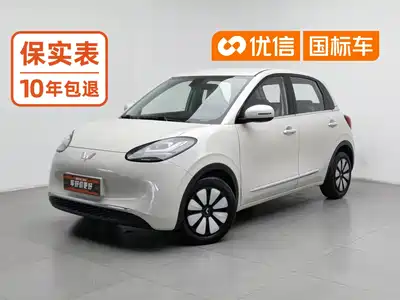 Wuling Bingo