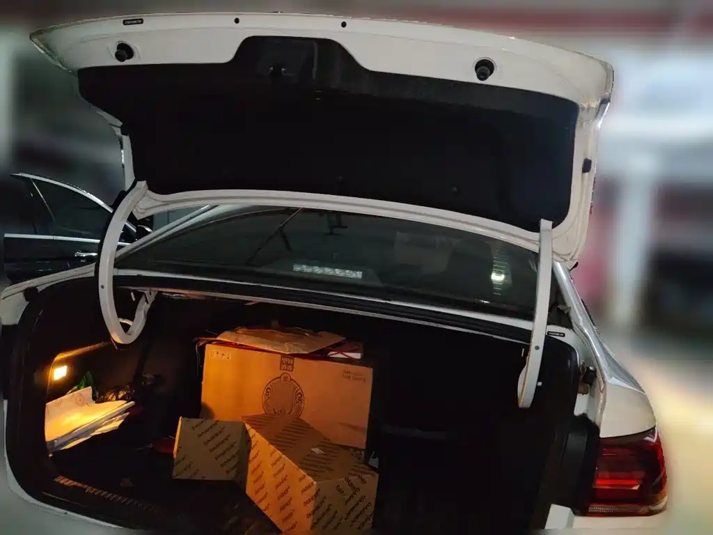 Photo 10 - Volkswagen Bora