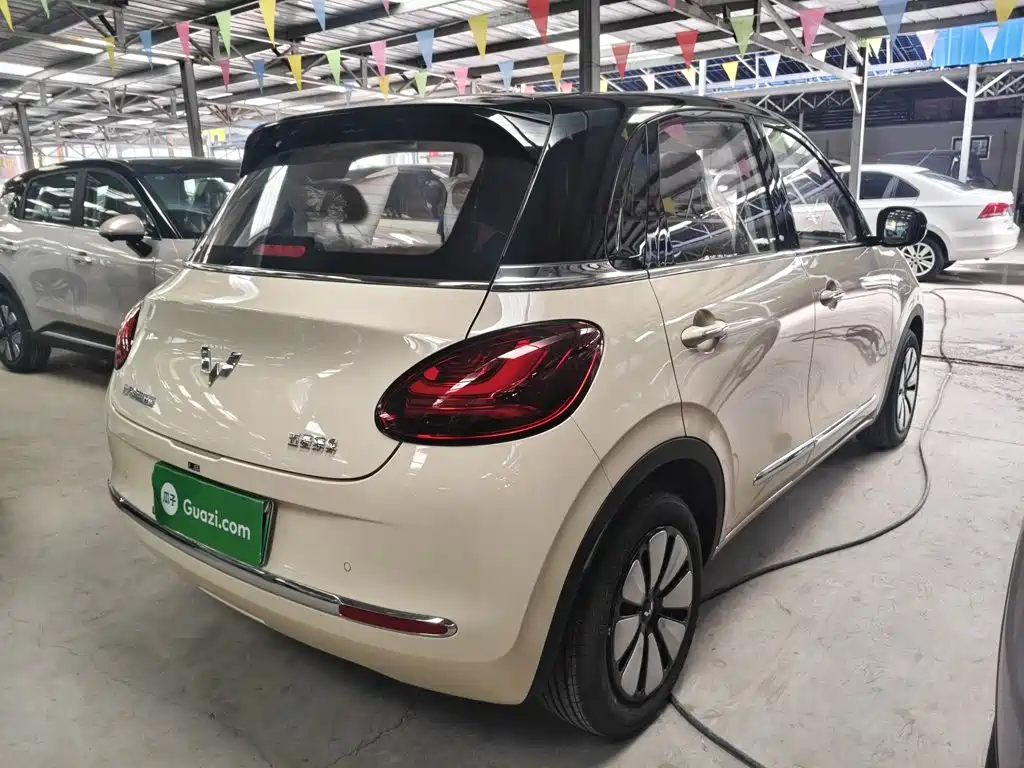 Wuling Motors Wuling Bingo 2026 2025 Model 333km Joy Edition
