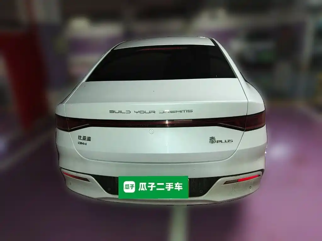 BYD Qin PLUS 2024 Glory Edition DM-i 55KM Leading фото 4