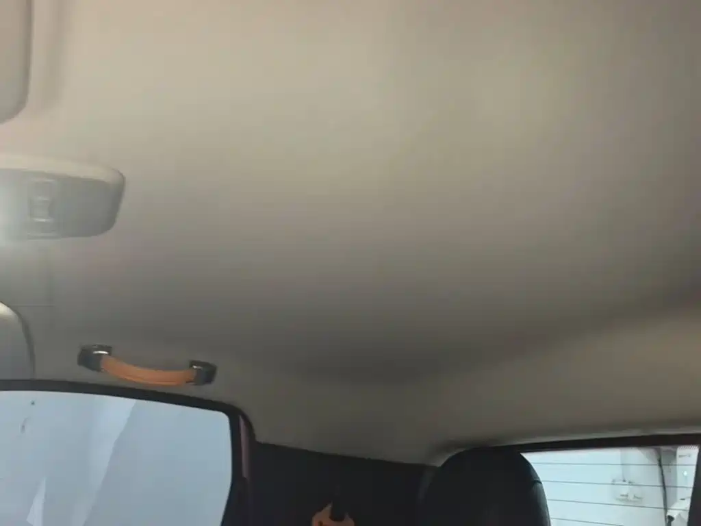 Baojun E100 2019 2019 250KM Smart Edition