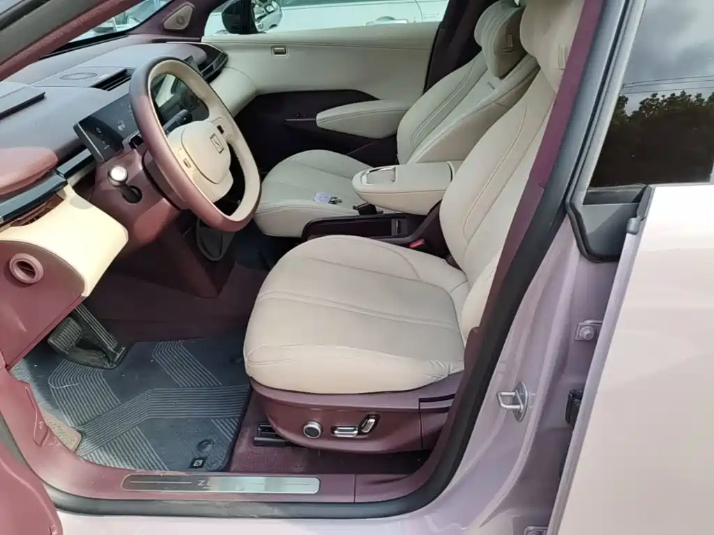 ZEEKR X 2023 2023 4WD YOU Edition 5-seater
