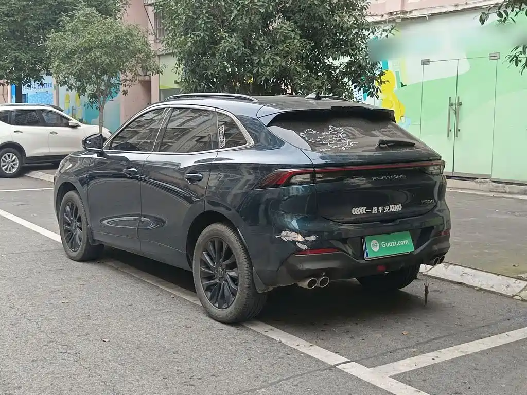 صورة 5 - Dongfeng Fengxing Fengxing T5 EVO