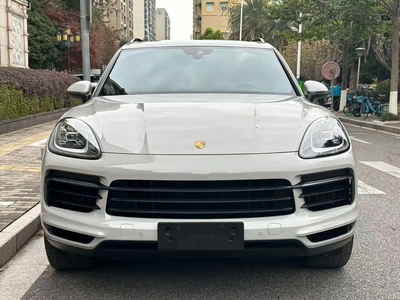 Porsche Cayenne 2022 Cayenne 3.0T Platinum Edition фото 2