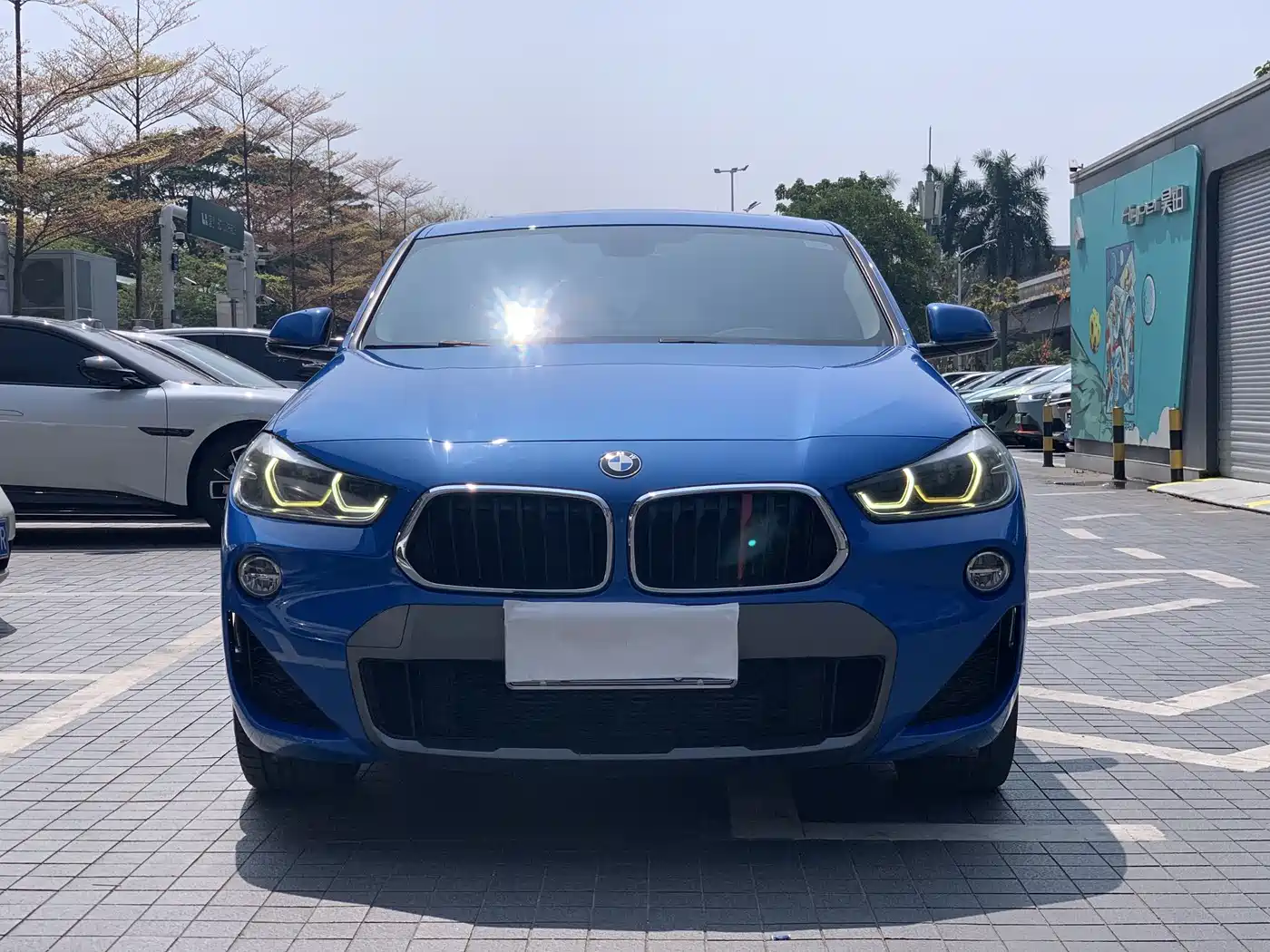 BMW X2 (Import) 2019 sDrive20i M Off-Road Package China VI фото 2