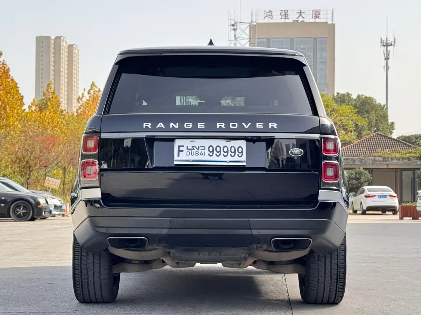 Land Rover Range Rover 2018 3.0 SC V6 Golden Age Edition фото 9