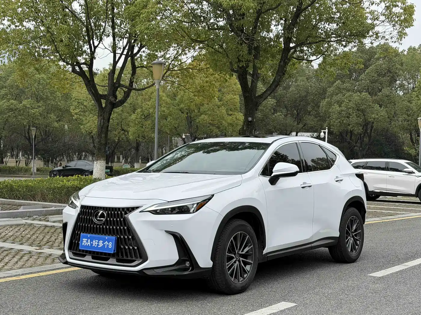 LEXUS NX