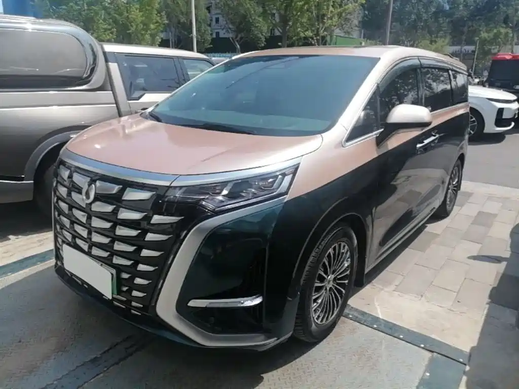 Denza D9 2022 DM-i 970 AWD Flagship фото 2