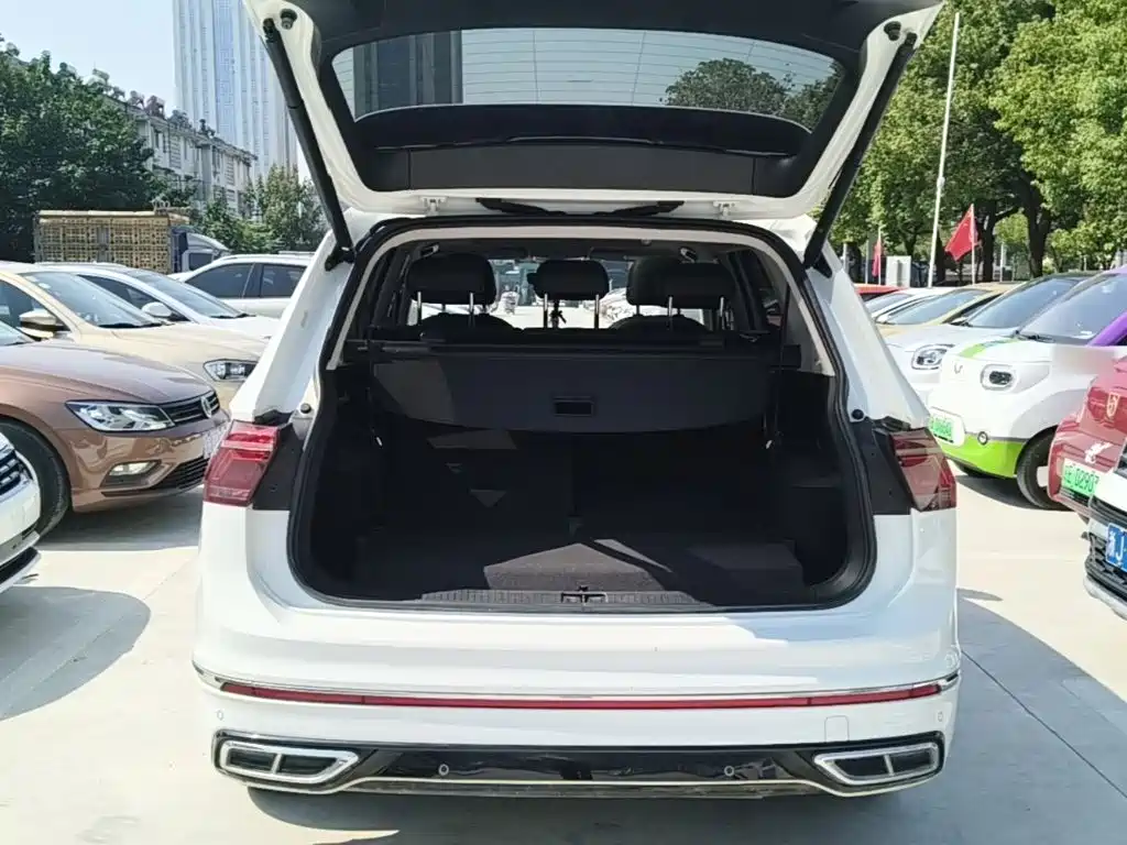 صورة 19 - Volkswagen Tiguan L