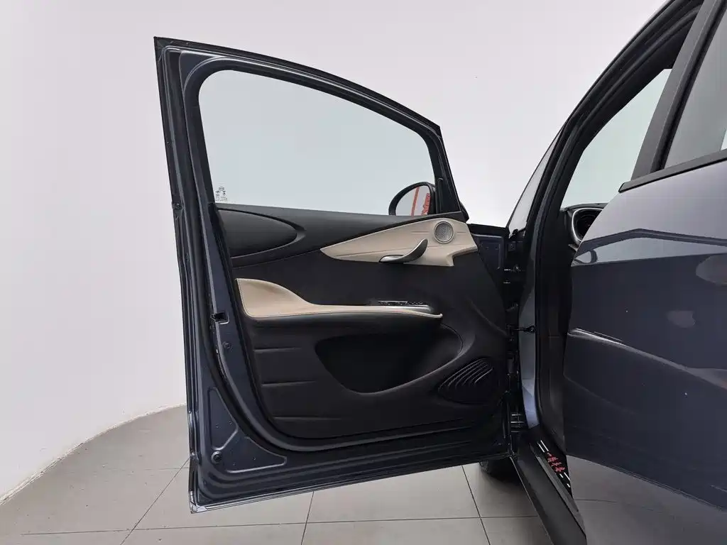 BYD Dolphin 2026 2025 420km Freedom Edition