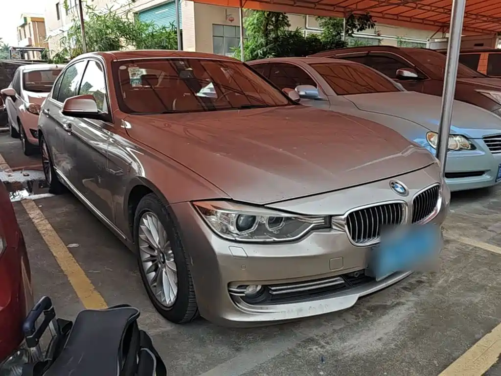 BMW 3 Series 2015 320Li Super Joy Luxury Design Package фото 4