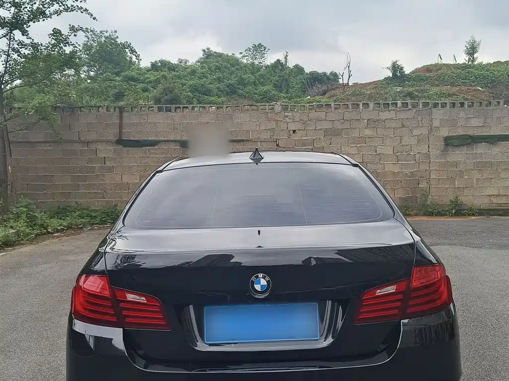 BMW 5 Series 2014 520Li Elegance фото 6