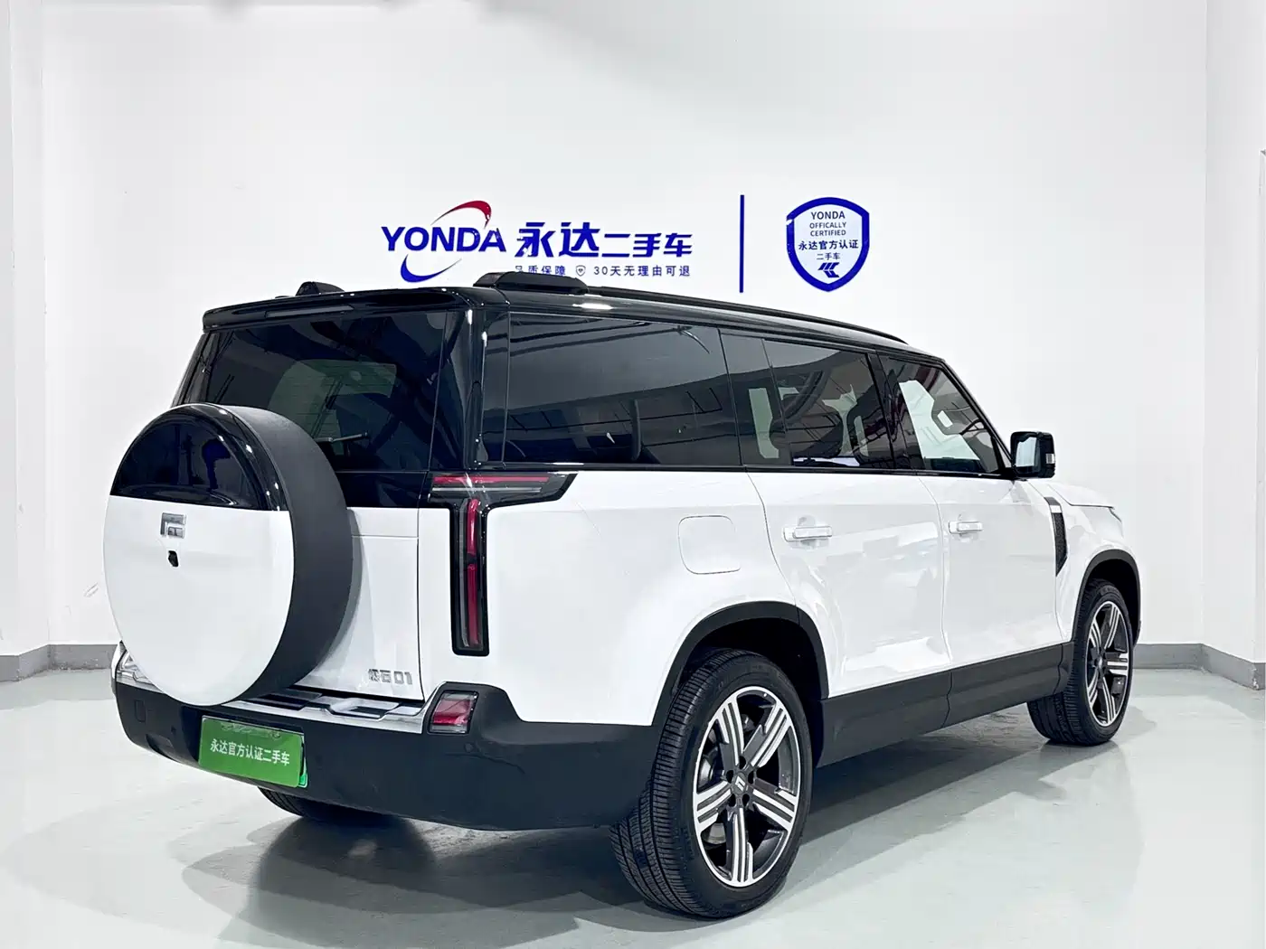 ROX POLAR STONE POLAR STONE 01