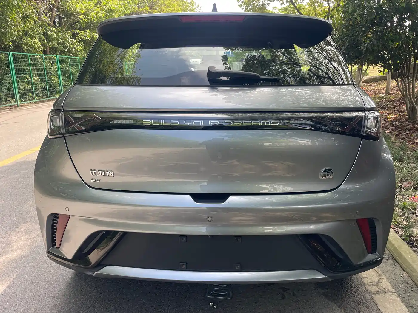 BYD Dolphin 2023 420km Freedom Edition фото 6