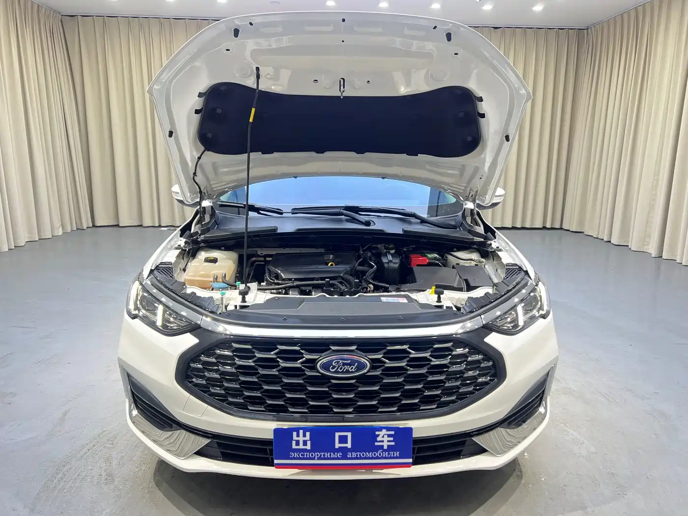 Ford Escort 2022 2021 1.5L Automatic Platinum Edition