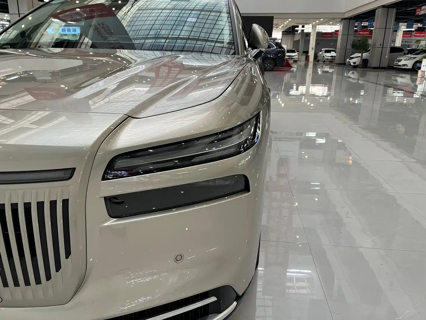 Voyah Auto VOYAH Zhuiguang L 2025 2025 Mid-configuration Model