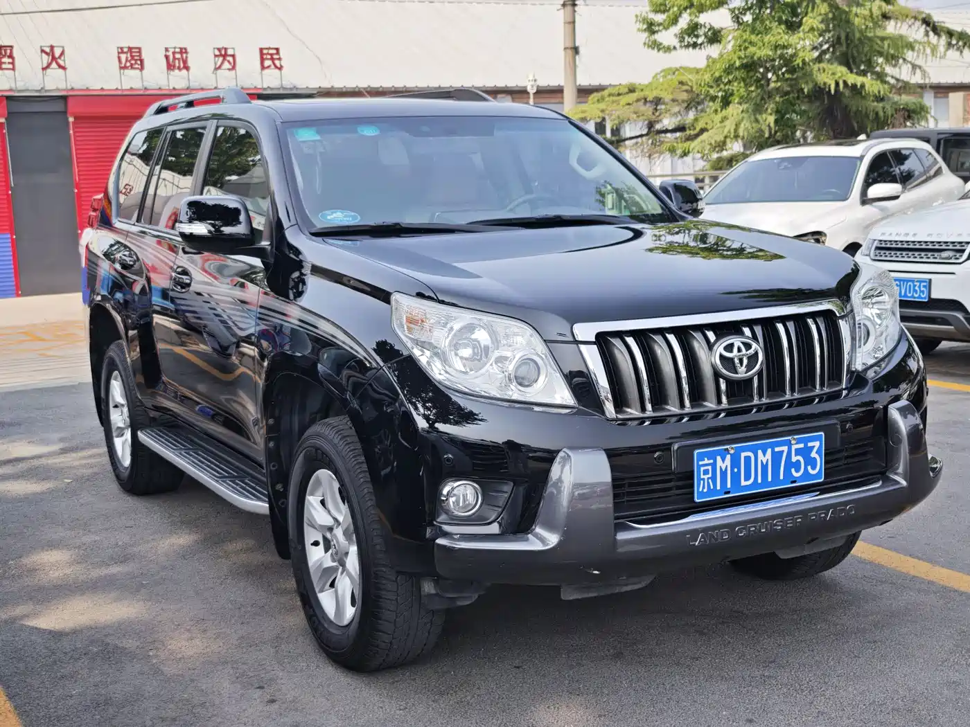 Toyota Prado 2010 4.0L Automatic TX-L NAVI фото 6