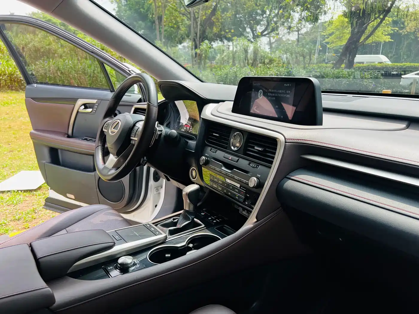 Lexus RX 2020 Facelift 300 AWD Elegance Edition фото 13