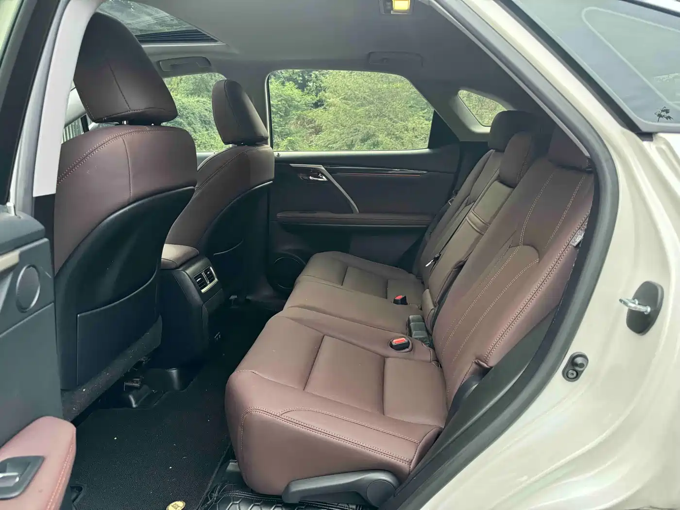Lexus RX 2020 Facelift 300 2WD Elite Edition фото 5
