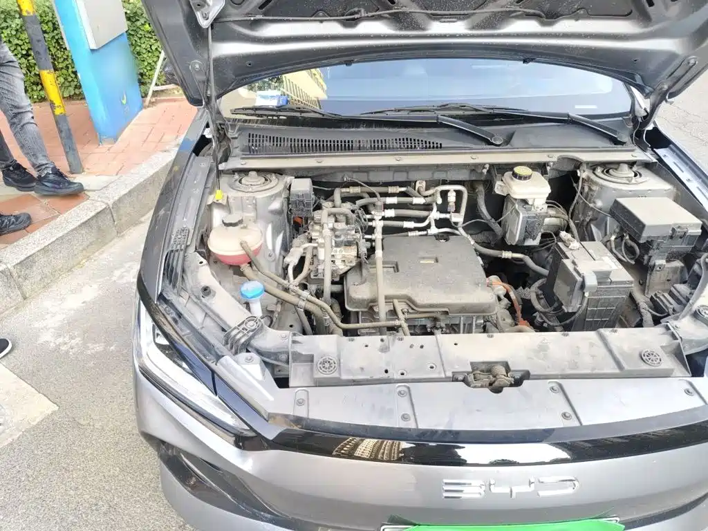 BYD e2 2024 2023 Luxury Model