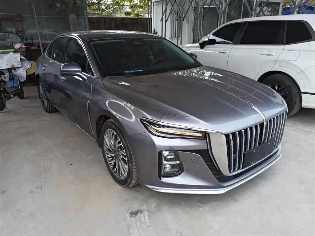 Hongqi H5 2023 2.0T Auto Smart Connect Flag Comfort фото 22
