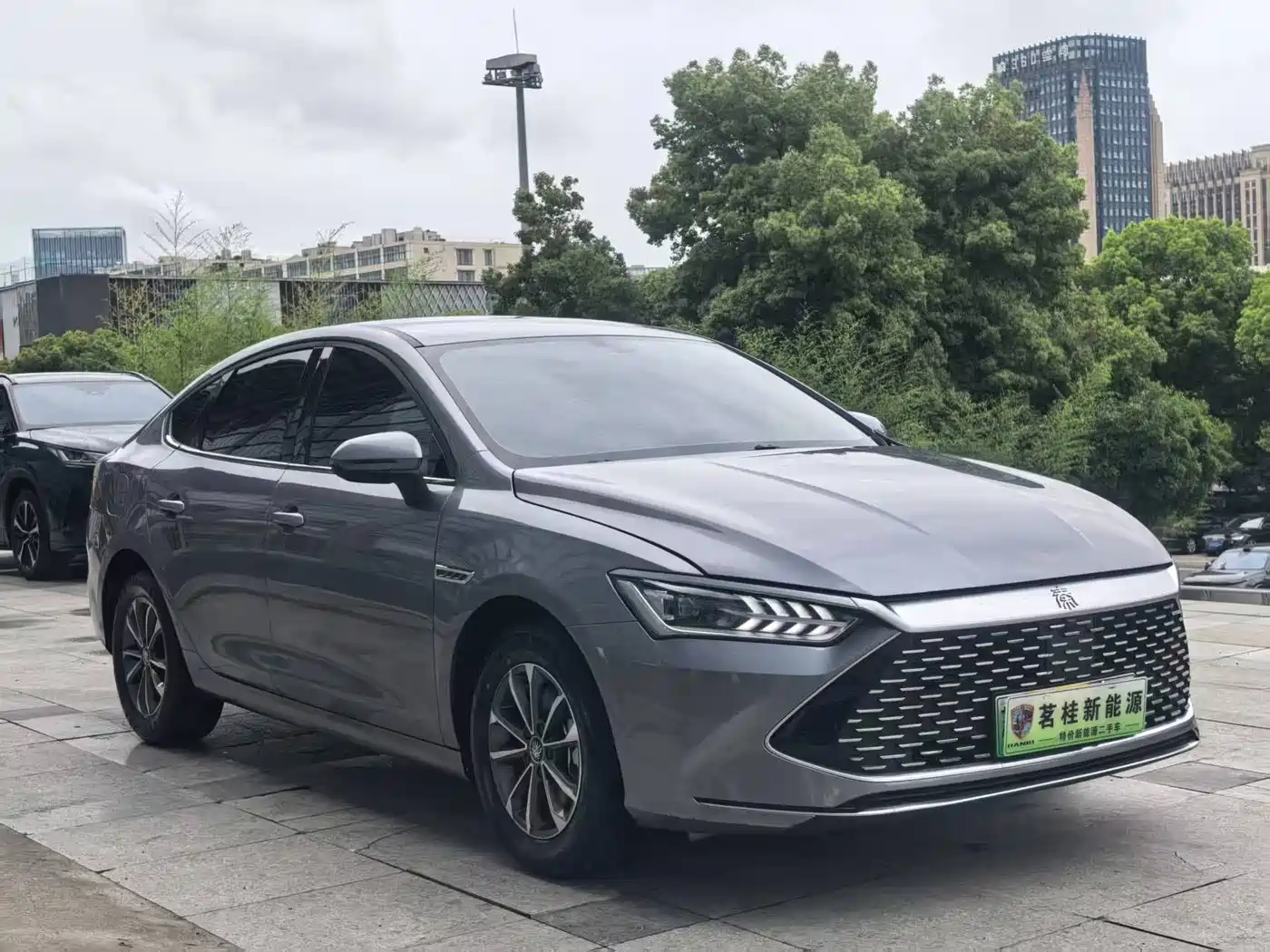 BYD Qin PLUS 2024 Glory Edition DM-i 55KM Leading фото 3
