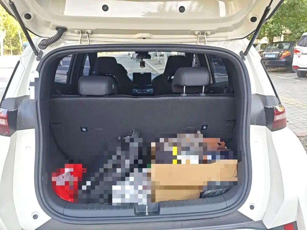 BYD Seagull 2026 2025 Smart Drive Edition 305km Vitality Version