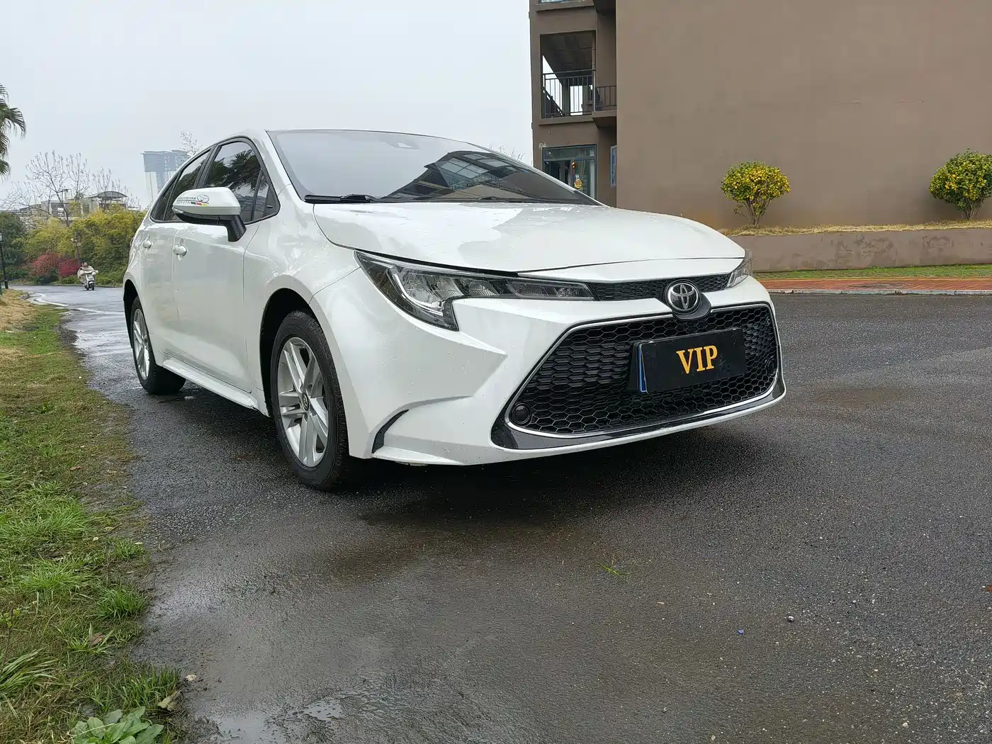 TOYOTA LEI LING
