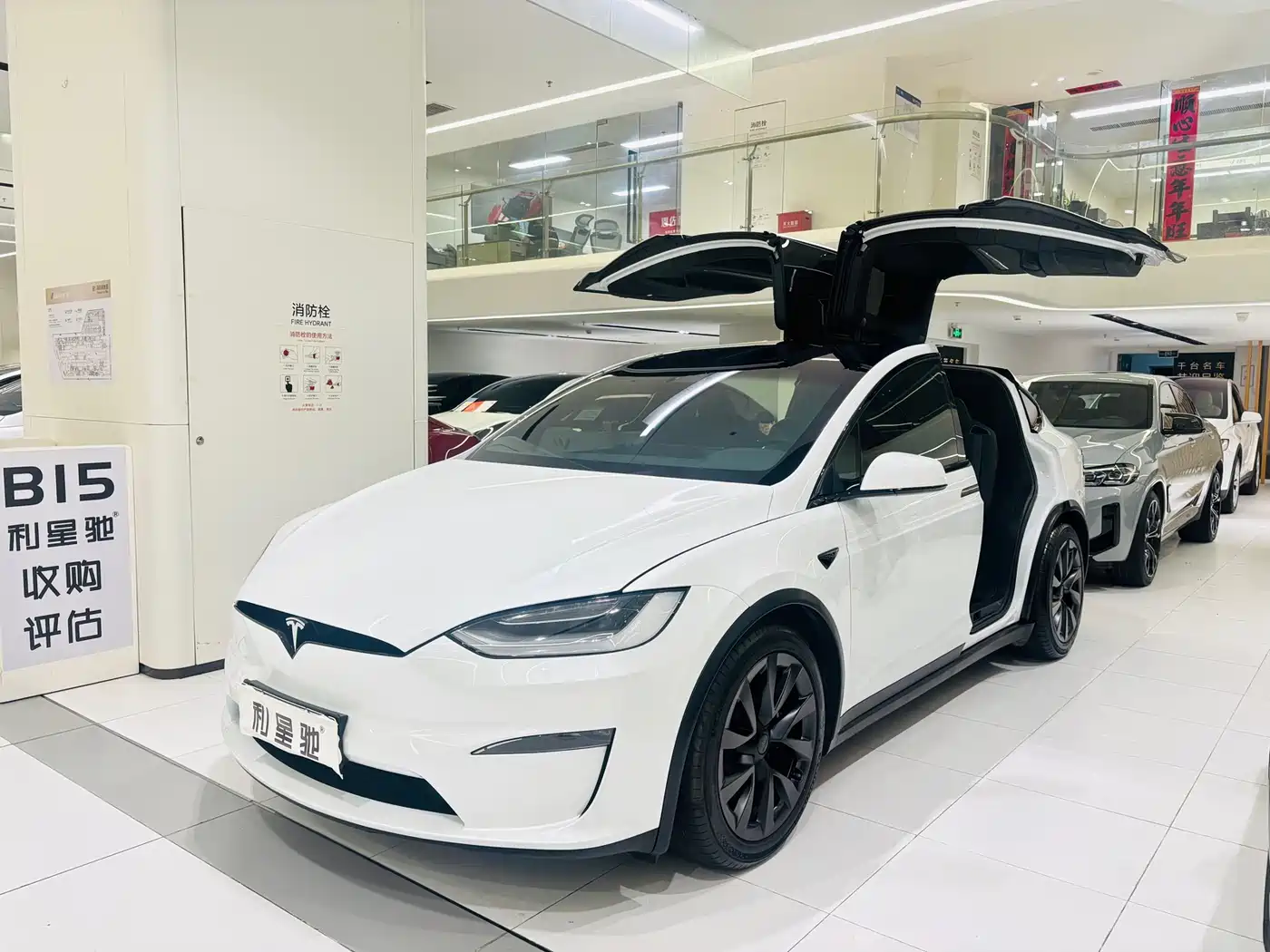 Tesla Model X 2023 Dual Motor All-Wheel Drive Edition фото 2