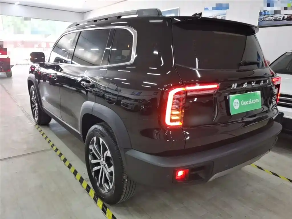 Haval Big Dog 2022 1.5T DCT FWD Border Collie Edition фото 5