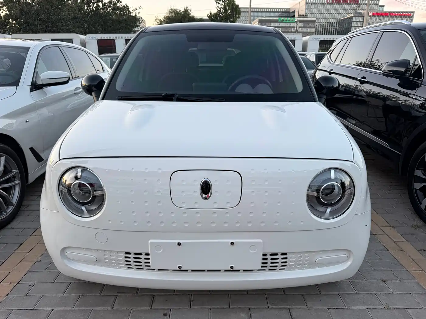 Ora Black Cat 2020 2021 301km Basic Model