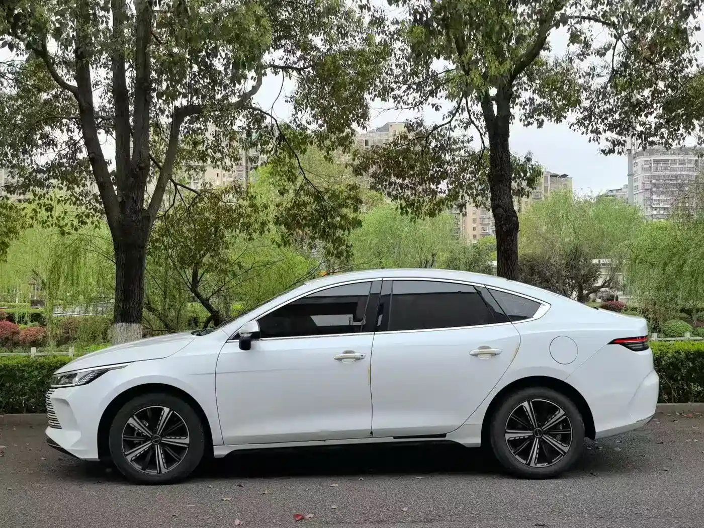 BYD Destroyer 05 2024 Glory Edition DM-i 120KM Luxury фото 3