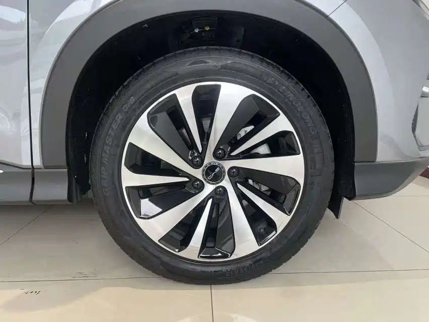 BYD Song PLUS PHEV 2024 Glory Edition DM-i 110km Flagship фото 10