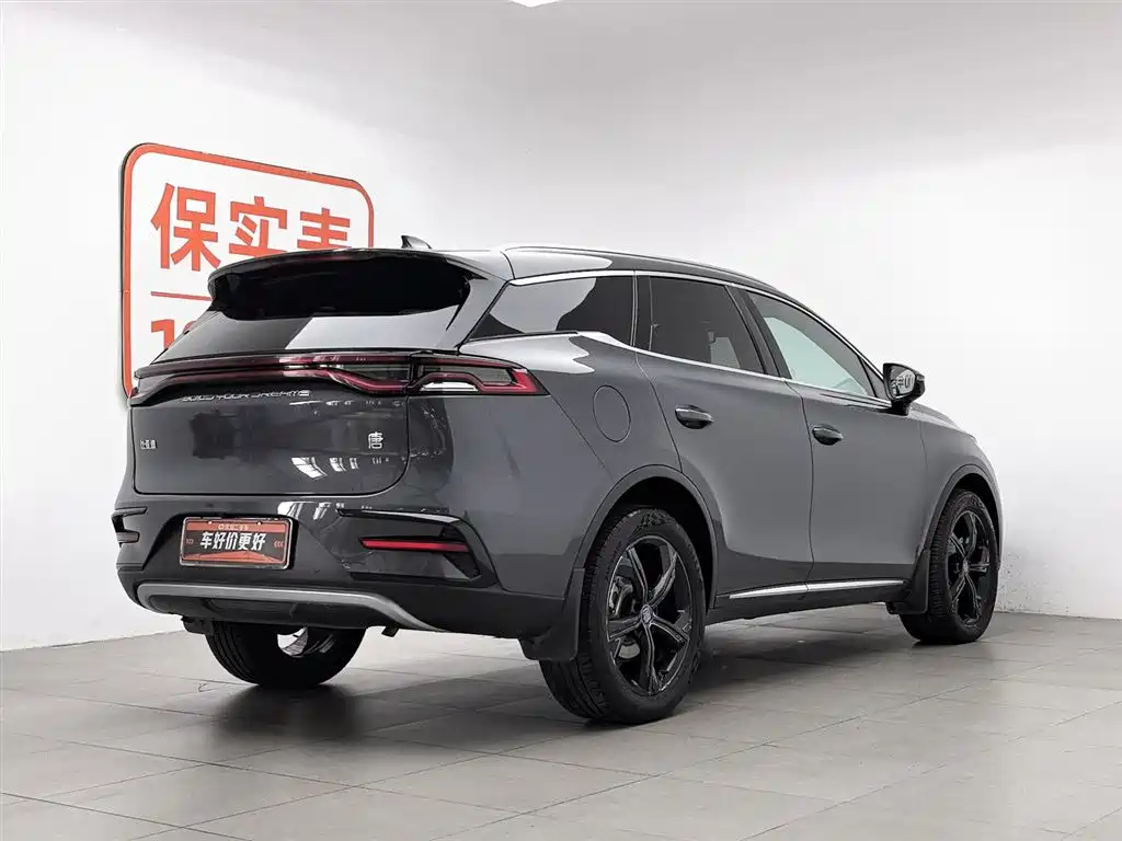 BYD Tang New Energy 2021 DM-i 112KM Honor фото 2