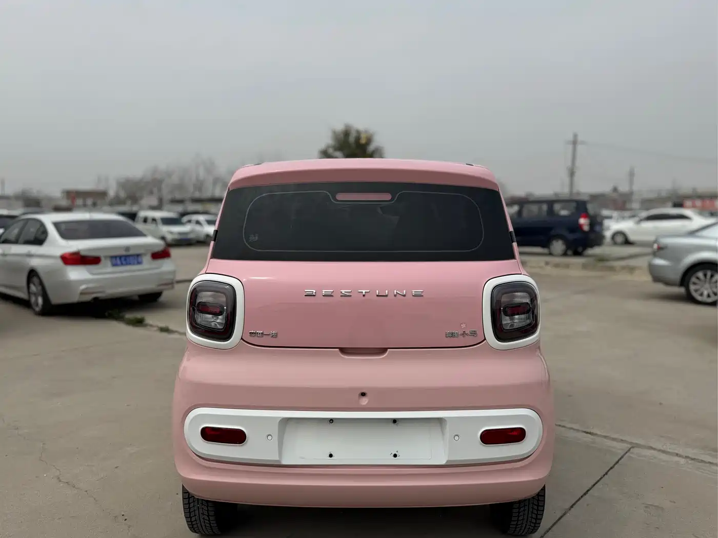 BESTUNE PENTIUM PONY