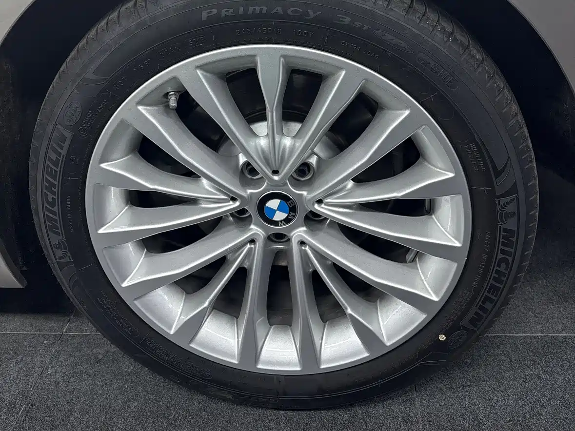 BMW 5 Series 2020 530Li xDrive Luxury Package фото 7