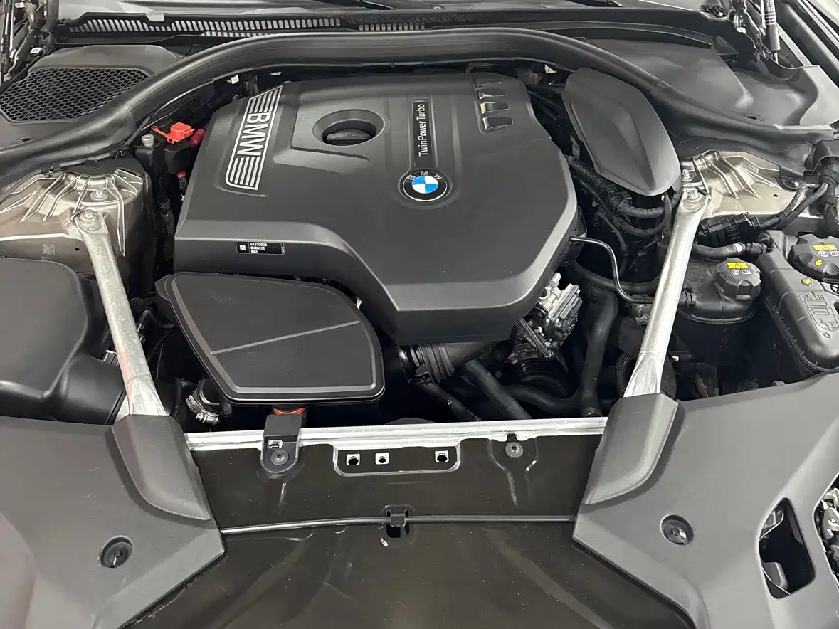 BMW 5 Series 2020 530Li xDrive Luxury Package фото 13