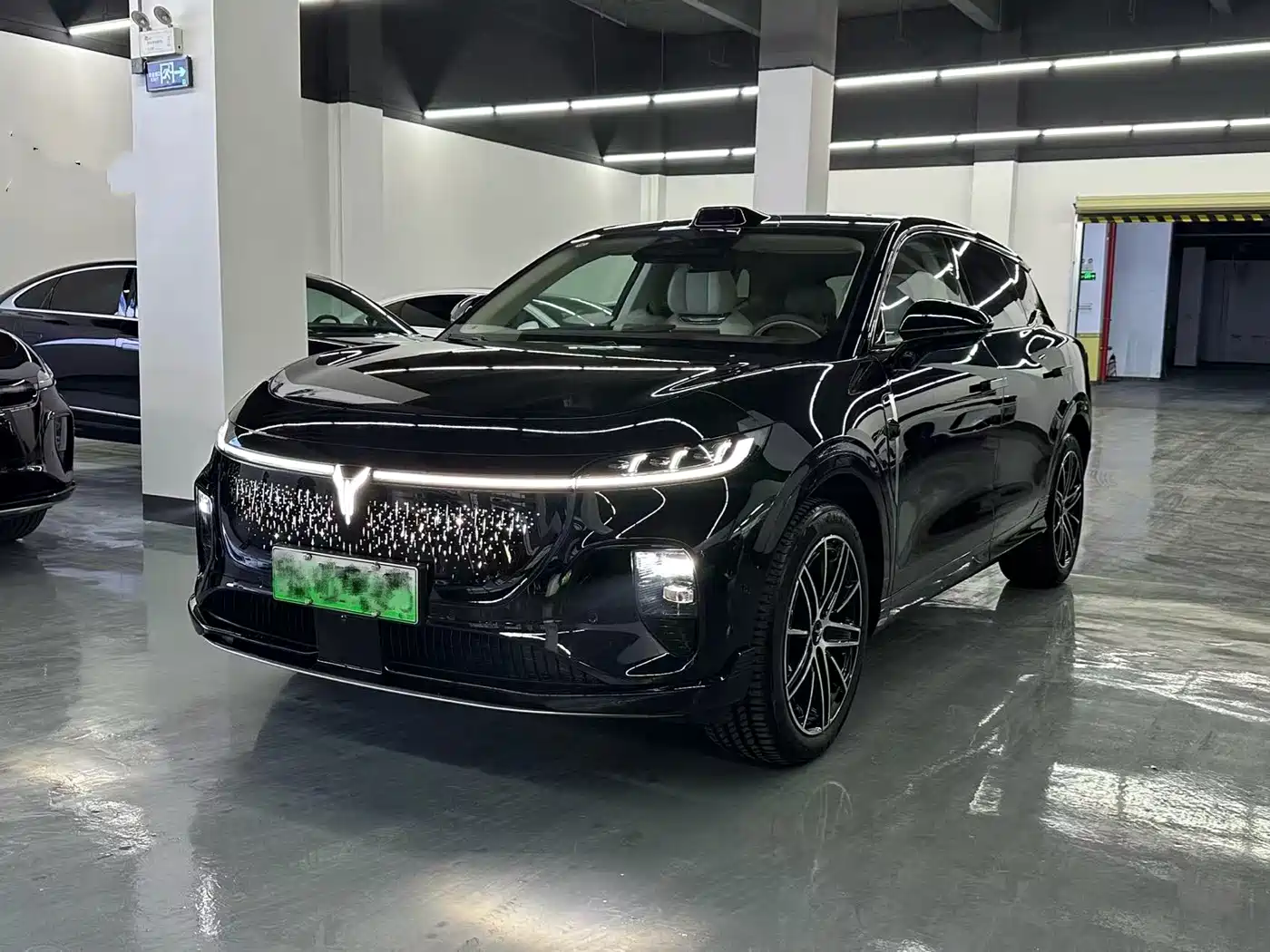 Voyah Auto Voyah Zhiyin 2025 Base
