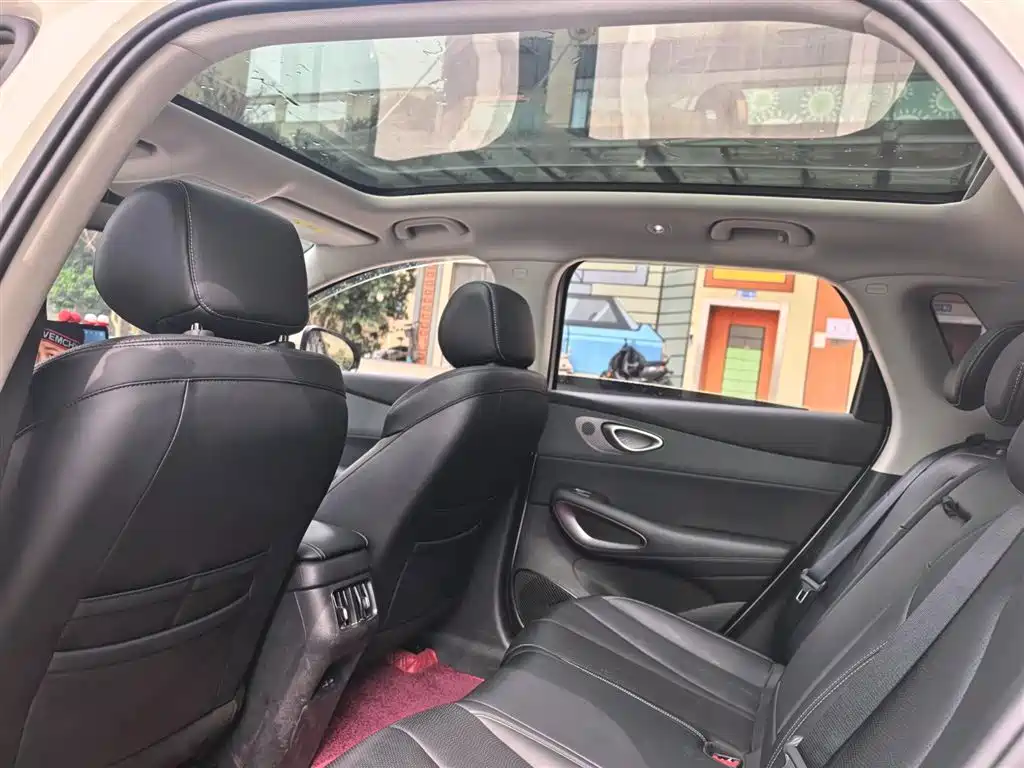 BYD Hai Shi 05 EV 2025 520KM Smart Navigation Edition фото 8