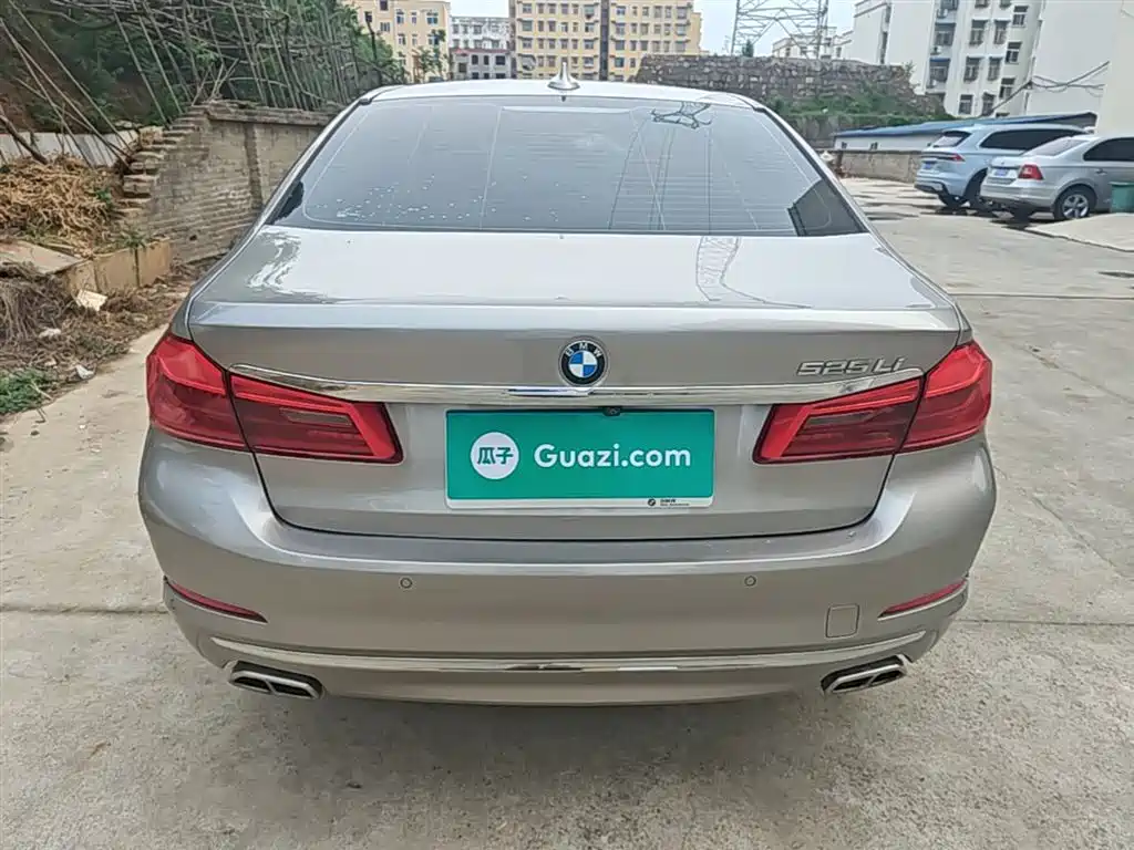 BMW 5 Series 2020 525Li Luxury Package фото 6