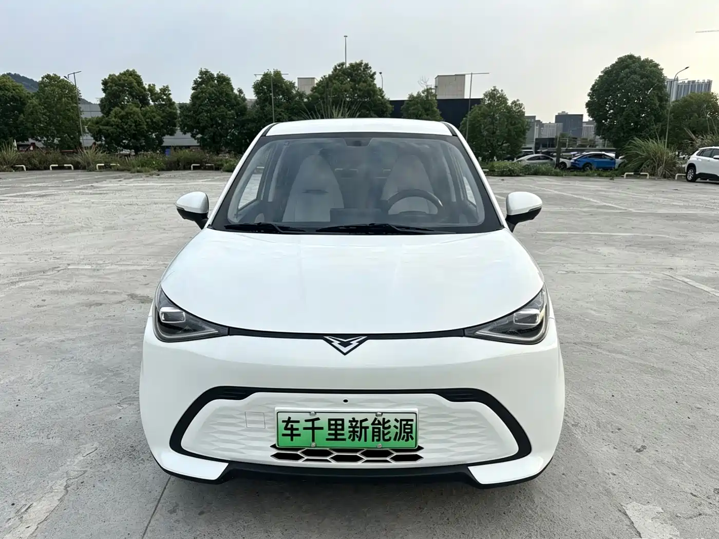 2025 Cowin October