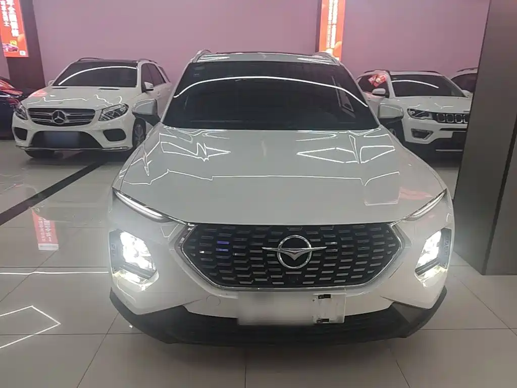 Фото 3 - Haima 8S