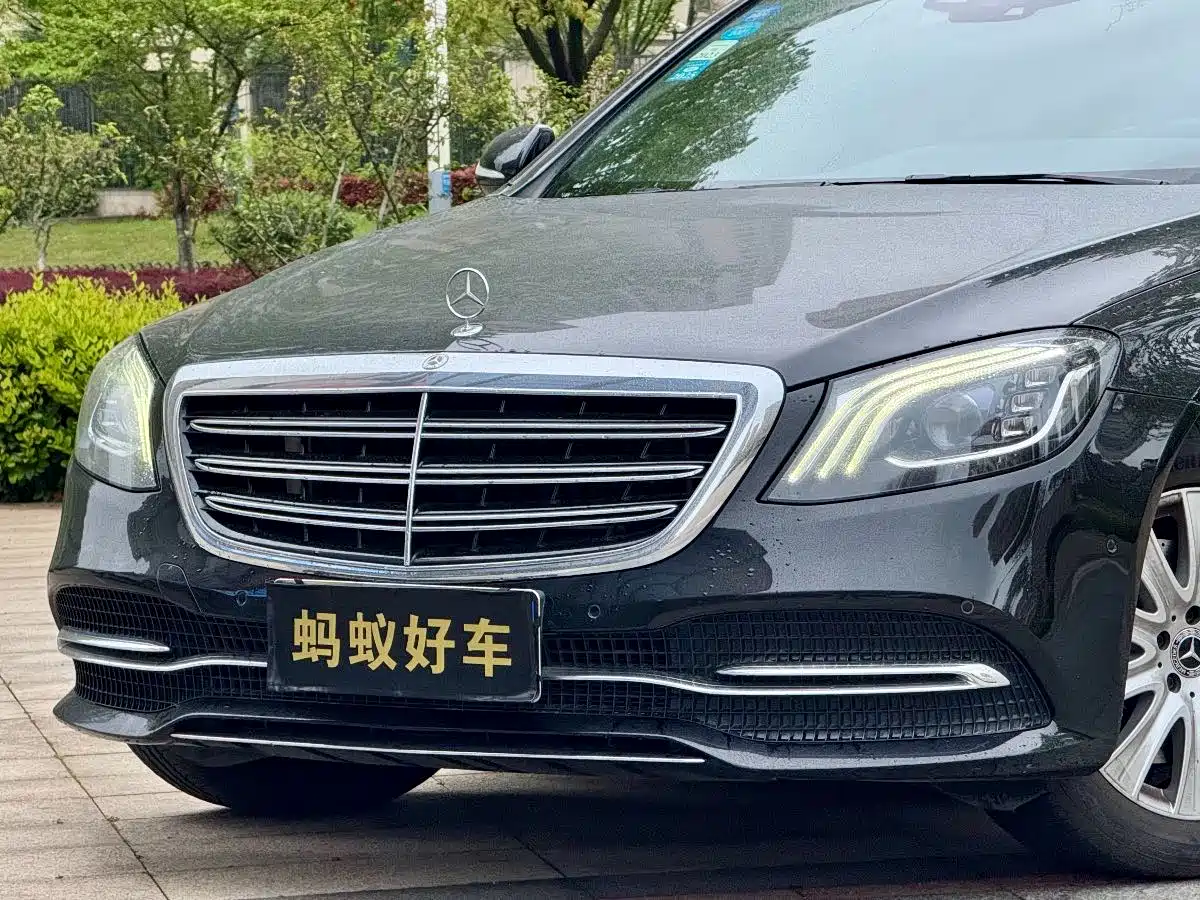 Mercedes-Benz S-Class 2019 S 320 L фото 8