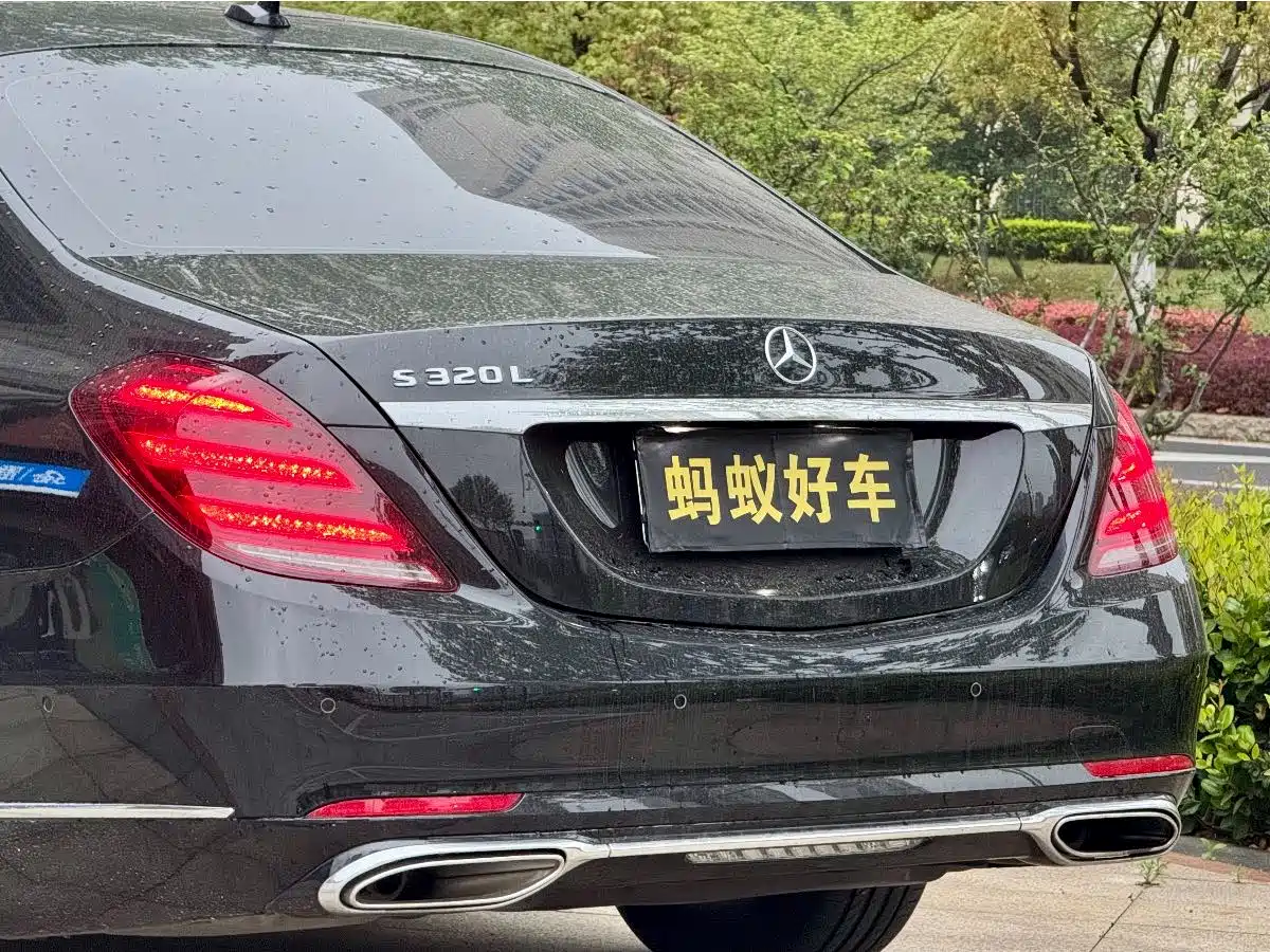 Mercedes-Benz S-Class 2019 S 320 L фото 9