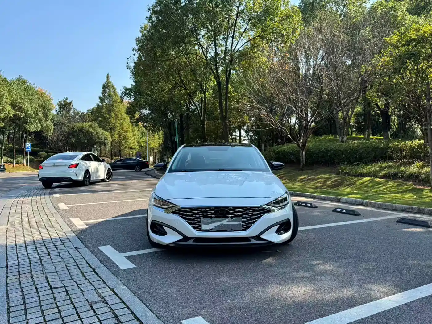 Hyundai Lafesta 2019 2019 280TGDi Sport Edition China V