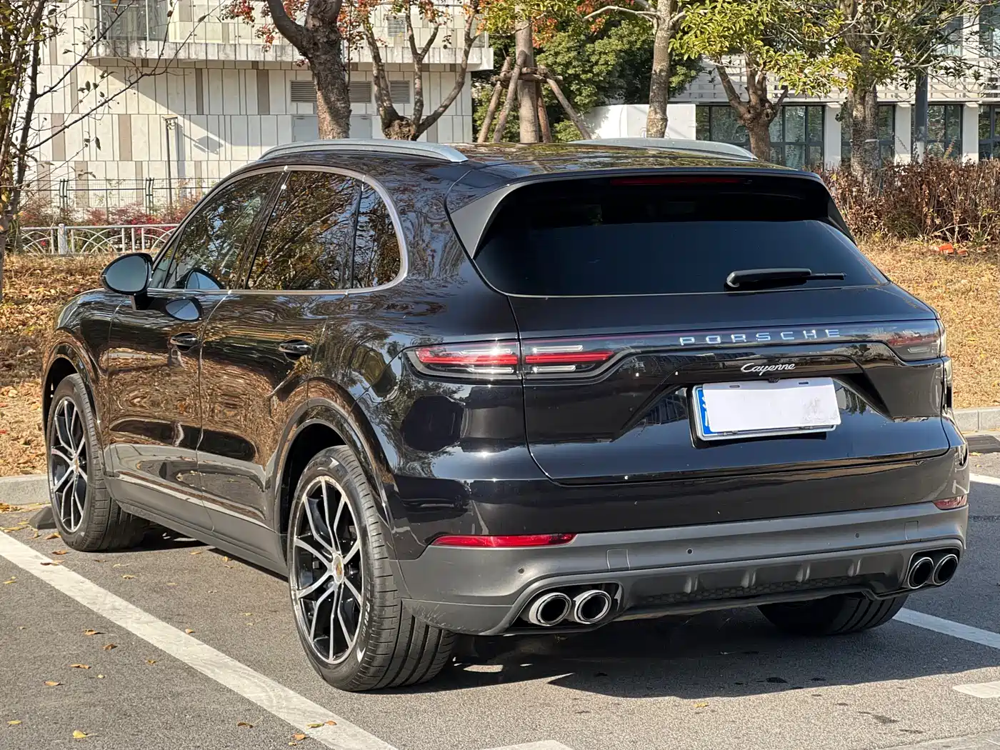 Porsche Cayenne 2022 Cayenne 3.0T Platinum Edition фото 4