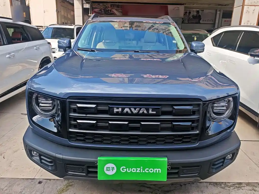 Фото 3 - Haval Dargo